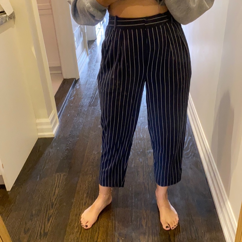 Aritzia Blue Pinstripe Trousers.